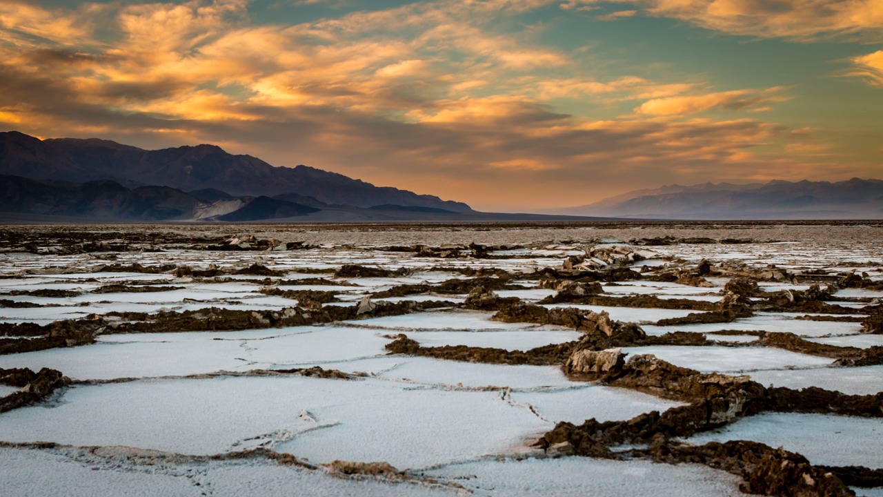 The Decline of the Indus Valley Civilization - Causes and Effects